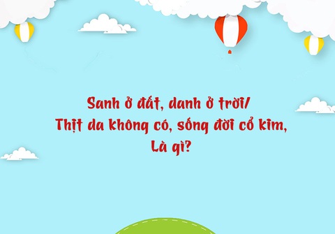 Câu đố hack não: Con gì nghe tên đã biết thích đi lo chuyện bao đồng? - Ảnh 4. Câu đố hack não: Con gì nghe tên đã biết thích đi lo chuyện bao đồng? - Ảnh 4.