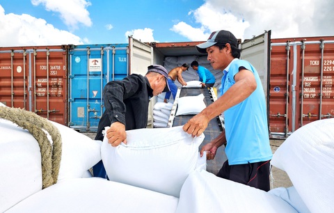 Một doanh nghiệp đóng thùng container để xuất khẩu tại cảng Mỹ Thới, TP Long Xuyên, An Giang - Ảnh: BỬU ĐẤU Bộ Công Thương yêu cầu lực lượng quản lý thị trường kiểm tra thường xuyên cơ sở kinh doanh để kiểm soát nguồn cung và giá bán gạo, xử nghiêm vi phạm giá - Ảnh: BỬU ĐẤU
