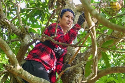 Huy Khánh hái xoài trong Đệ nhất mưu sinh - Ảnh: VTV9 Huy Khánh hái xoài trong Đệ nhất mưu sinh - Ảnh: VTV9
