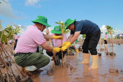 C.P. Việt Nam khởi động dự án trồng cây bảo vệ đa dạng sinh học trang trại nuôi tôm - Ảnh 3. Các tình nguyện viên cẩn thận, chăm chút cho từng cây đước được trồng xuống