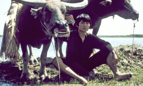 Trong phim, hình ảnh con trâu đại diện cho phận người trôi nổi vùng Nam bộ. Ảnh: Global Film. Trong phim, hình ảnh con trâu đại diện cho phận người trôi nổi vùng Nam Bộ - Ảnh: Global Film