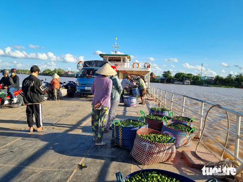 Sau kiểm tra, bến phà ở Vĩnh Long lại công khai vi phạm - Ảnh 1. Bến phà An Phước, huyện Mang Thít, tỉnh Vĩnh Long tiếp tục công khai vi phạm khi chở ô tô tải - Ảnh: TỐNG KHOA