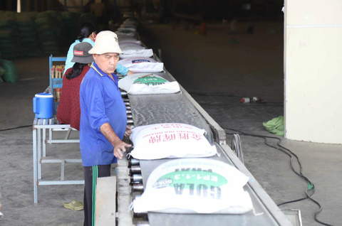 Mừng và lo cho gạo Việt - Ảnh 1. Chế biến gạo xuất khẩu tạo một nhà máy ở huyện Phú Tân, tỉnh An Giang - Ảnh: CHÍ QUỐC