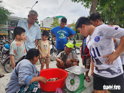 Đã mắt với mẻ lưới hàng tấn cá trong Giếng nước Mỹ Tho - Ảnh 2. Cá sau khi đánh bắt từ Giếng nước Mỹ Tho lên được cân bán tại chỗ - Ảnh: HOÀI THƯƠNG