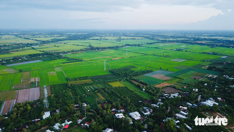 TP.HCM trình thủ tục chuyển đất trồng lúa dưới 500 ha để làm dự án - Ảnh 1. Cơ chế chuyển đổi này sẽ giúp địa phương sử dụng hiệu quả quỹ đất nông nghiệp, hạn chế được tình trạng lãng phí đất nông nghiệp khi bị phân lô, bán nền - Ảnh: QUANG ĐỊNH
