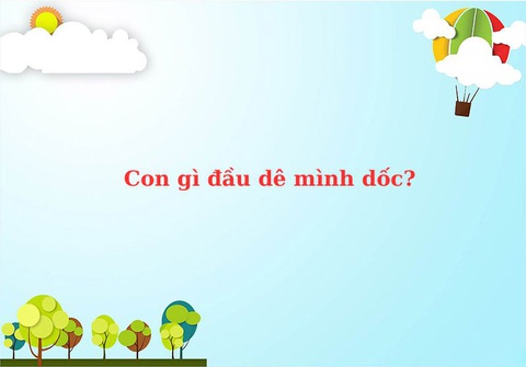 Câu đố hack não: Cái gì lưng trước, bụng sau? - Ảnh 7. Câu đố hack não: Cái gì lưng trước, bụng sau? - Ảnh 7.