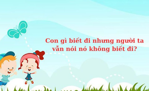 Câu đố hack não: Cái gì lưng trước, bụng sau? - Ảnh 10. Câu đố hack não: Cái gì lưng trước, bụng sau? - Ảnh 10.