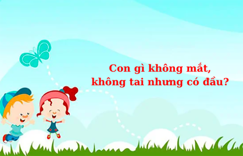 Câu đố hack não: Ở Việt Nam con gì giỏi nhất? - Ảnh 10. Câu đố hack não: Ở Việt Nam con gì giỏi nhất? - Ảnh 10.