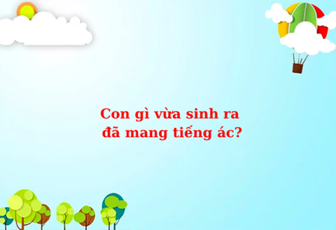 Câu đố hack não: Ở Việt Nam con gì giỏi nhất? - Ảnh 7. Câu đố hack não: Ở Việt Nam con gì giỏi nhất? - Ảnh 7.