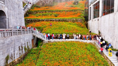 Có một “ruộng bậc thang” khác lạ nơi đỉnh trời Fansipan - Ảnh 2. Len lỏi vào các bậc thang bao quanh du khách tham quan đỉnh trời thiêng
