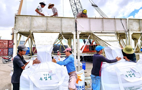 Doanh nghiệp xuất khẩu gạo tỉnh Kiên Giang tại cảng Mỹ Thới, TP Long Xuyên để xuất khẩu đi Hàn Quốc trong tháng 8-2023 - Ảnh: BỬU ĐẤU Doanh nghiệp xuất khẩu gạo tỉnh Kiên Giang tại cảng Mỹ Thới, TP Long Xuyên để xuất khẩu đi Hàn Quốc trong tháng 8-2023 - Ảnh: BỬU ĐẤU
