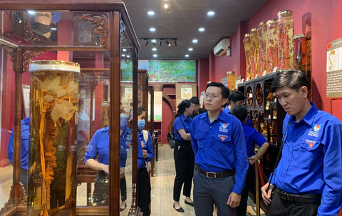 Các bạn trẻ tham quan Bảo tàng Sâm Ngọc Linh - Ảnh: BTC Các bạn trẻ tham quan Bảo tàng Sâm Ngọc Linh - Ảnh: BTC