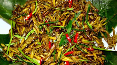 Tử vong sau khi ăn châu chấu rang nghi sốc phản vệ, phòng tránh ra sao? - Ảnh 1. Người có cơ địa dị ứng dễ bị sốc phản vệ sau khi ăn châu chấu rang - Ảnh: P.T.T.