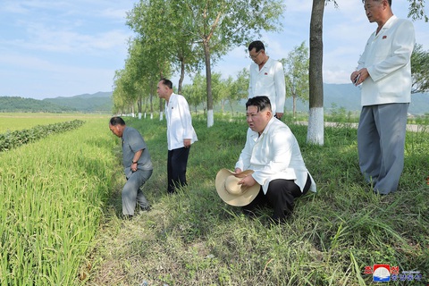 Nhà lãnh đạo Triều Tiên Kim Jong Un thị sát các cánh đồng lúa bị ngập lụt do bão, sáng 18-8 - Ảnh: KCNA Nhà lãnh đạo Triều Tiên Kim Jong Un thị sát các cánh đồng lúa bị ngập lụt do bão, sáng 18-8 - Ảnh: KCNA