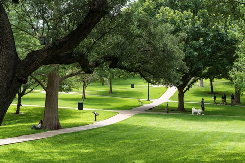 Ngắm nước Mỹ qua góc nhìn của chàng trai 16 tuổi - Ảnh 4. Góc công viên ở bang Texas - Ảnh: BILL NGUYỄN