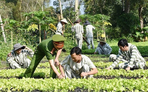 Người chấp hành xong án phạt tù được vay tối đa 100 triệu đồng để sản xuất, kinh doanh - Ảnh 1. Người chấp hành xong án phạt tù được vay tối đa 100 triệu đồng để sản xuất, kinh doanh - Ảnh: Chinhphu.vn