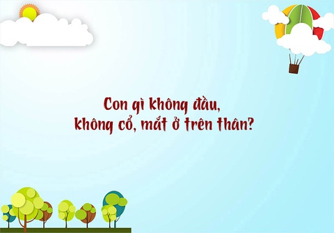 Câu đố hack não: Con gì không đầu, không cổ, mắt ở trên thân? - Ảnh 1. Câu đố hack não: Con gì không đầu, không cổ, mắt ở trên thân? - Ảnh 1.