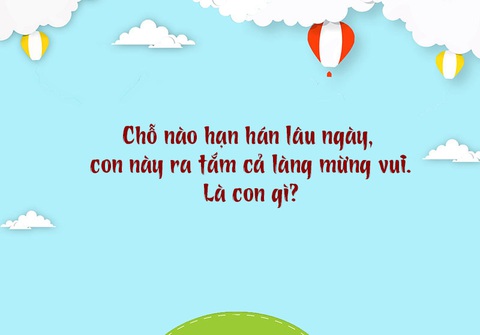 Câu đố hack não: Con gì không đầu, không cổ, mắt ở trên thân? - Ảnh 4. Câu đố hack não: Con gì không đầu, không cổ, mắt ở trên thân? - Ảnh 4.