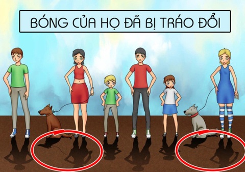 Bạn có phát hiện ra con vẹt đuôi dài trong 5 giây? - Ảnh 1.