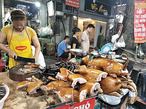 Khi quán cầy tơ vắng dần - Kỳ 1: Chén cầy tơ để 'giải đen' cuối tháng? - Ảnh 2. Nhiều người, mà nhất là ở miền ngoài, hay nói “ăn thịt chó cuối tháng để giải hạn” - Ảnh: VŨ TUẤN