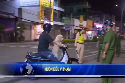 Ảnh vui 20-8: Bộ chăn ga gối đệm của gia đình chị kế toán! - Ảnh 6. Chú ơi, cháu không biết gì đâu, tất cả do thằng lái đó.