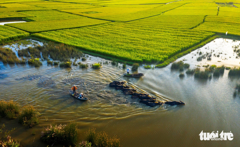 Hạnh phúc trong "ngôi nhà trái tim" - Ảnh 3. Ngoài nuôi vịt, ông bà còn nuôi trâu. Giá trâu giảm, ông bà cũng lâm cảnh khó khăn nhưng họ luôn hạnh phúc