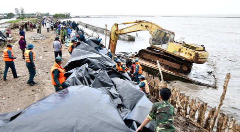Bảo vệ "đất chín rồng" khỏi sạt lở - Ảnh 1. Lực lượng chức năng cùng người dân Cà Mau tham gia cứu hộ đê biển Tây trong một lần có nguy cơ vỡ đê - Ảnh: T.HUYỀN