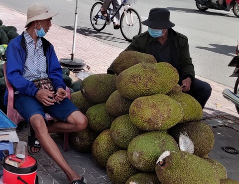 Giá mít Thái đang ở mức cao - Ảnh: N.TRÍ