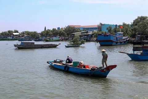 Chủ tịch Phan Văn Mãi làm trưởng ban chỉ đạo phát triển du lịch Cần Giờ - Ảnh 1. Nhiều chuyên gia cho rằng để phát triển du lịch sinh thái Cần Giờ cần có những chính sách dài hạn - Ảnh: T.L.