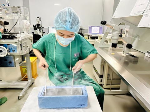 Vai trò của quản lý chất lượng trong hỗ trợ sinh sản - Ảnh 2. Vai trò của quản lý chất lượng trong hỗ trợ sinh sản - Ảnh 2.