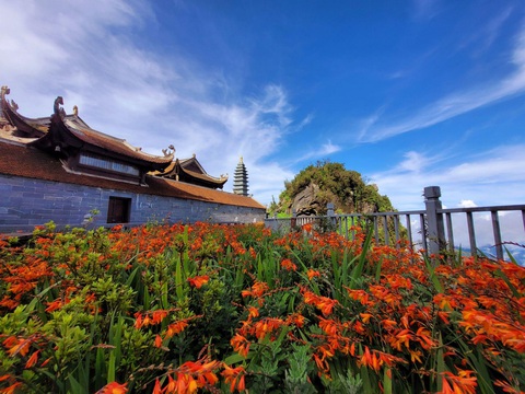 4 lý do khiến du khách không thể bỏ lỡ Fansipan trong kỳ nghỉ 2-9 - Ảnh 3. Ruộng bậc thang dơn lúa nở rực trời Fansipan.