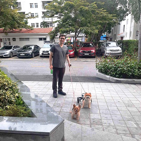 Bác sĩ nước ngoài tình nguyện chăm sóc thú cưng tại Việt Nam - Ảnh 2. Bác sĩ Paul dắt hai con chó dạo chơi, trong đó có một con bị dị tật ở chân - Ảnh: C.L.