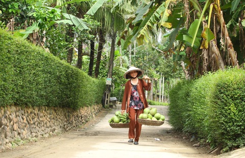 Đưa làng du lịch Đại Bình thành điểm đến hấp dẫn - Ảnh 4. Một góc xanh thẳm làng Đại Bình, nơi được ví “làng trái cây Nam Bộ thu nhỏ” - Ảnh do UBND huyện Nông Sơn cung cấp