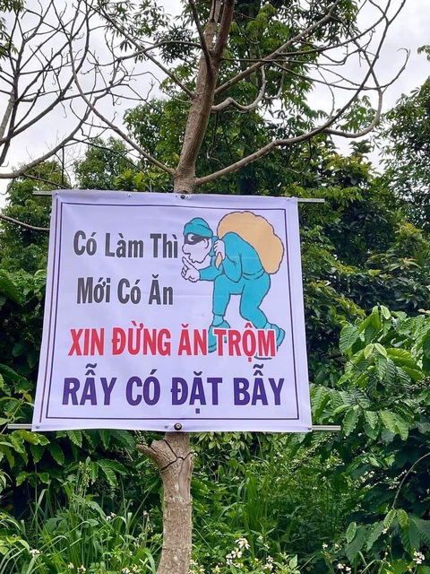 Ảnh vui 22-8: Hoa hậu Thiên Ân nhắc nhớ kỷ niệm thời học sinh - Ảnh 4. Cảnh báo ăn trộm.
