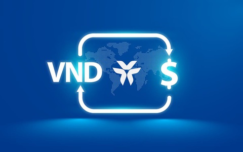 VIB là nhà cung cấp dịch vụ ngoại tệ sáng tạo cho khách hàng cá nhân - Ảnh 1. VIB là nhà cung cấp dịch vụ ngoại tệ sáng tạo cho khách hàng cá nhân - Ảnh 1.