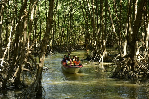 Bốn tiêu chí triển vọng sẽ giúp rừng phòng hộ Cần Giờ thành khu Ramsar - Ảnh 2. Bên trong khu dự trữ sinh quyển rừng ngập mặn Cần Giờ được đề cử thành khu Ramsar - Ảnh: QUANG ĐỊNH