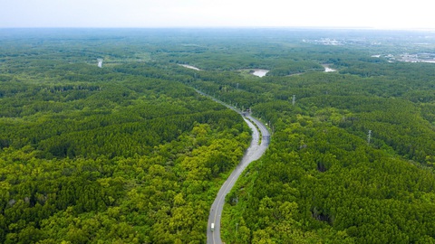 Bốn tiêu chí triển vọng sẽ giúp rừng phòng hộ Cần Giờ thành khu Ramsar - Ảnh 1. Toàn cảnh một góc khu dự trữ sinh quyển rừng ngập mặn Cần Giờ đang được đề xuất thành khu Ramsar - Ảnh: QUANG ĐỊNH