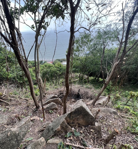 Phạt người phá rừng phòng hộ trên núi Nhỏ, Vũng Tàu - Ảnh 3. Khu đất này có view nhìn xuống bến tàu ở Bãi Trước, Vũng Tàu - Ảnh: ĐÔNG HÀ
