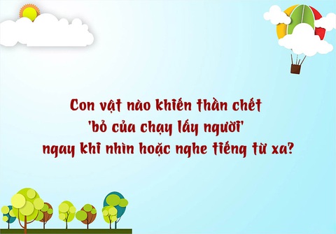 Câu đố hack não: Cái gì khoảnh khắc có 3 nhưng ngàn năm thì không? - Ảnh 7. Câu đố hack não: Cái gì khoảnh khắc có 3 nhưng ngàn năm thì không? - Ảnh 7.