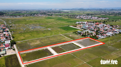 Phê bình, rút kinh nghiệm kế toán xã đấu trúng 23 lô đất nhưng bị hủy - Ảnh 1. Khu đất đấu giá ở xã Quỳnh Hưng, huyện Quỳnh Lưu, Nghệ An - Ảnh: DOÃN HÒA