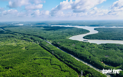 Ngắm rừng bảo hộ Cần Giờ được đề cử thành khu Ramsar - Ảnh 5. Sông Dần Xây chảy quanh co giữa hai cánh rừng bạt ngàn. Hệ sinh thái rừng ngập mặn Cần Giờ rất đa dạng và phong phú với hàng trăm loài thực vật, loài chim. Trong đó có rất nhiều loài quý hiếm, nguy cấp thuộc Sách đỏ Việt Nam - Ảnh: LÊ PHAN