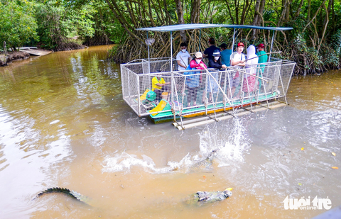 Ngắm rừng bảo hộ Cần Giờ được đề cử thành khu Ramsar - Ảnh 8. Du khách tham quan, câu cá sấu trong khu du lịch Vàm Sát, huyện Cần Giờ. Hiện nay, trong khu phòng hộ huyện Cần Giờ có khu quy hoạch sân chim Vàm Sát, thuộc xã Lý Nhơn, ước lượng có từ 20.000 con chim nước trở lên về đây cư trú hằng năm - Ảnh: QUANG ĐỊNH
