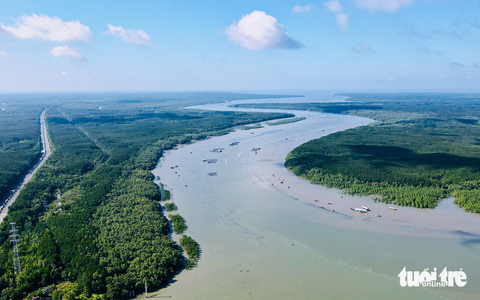 Ngắm rừng bảo hộ Cần Giờ được đề cử thành khu Ramsar - Ảnh 11. Sông Đồng Tranh đổ ra biển, dọc hai bên bãi bồi đang có những mảng xanh nhỏ. Đây là rừng mới được Ban quản lý rừng phòng hộ Cần Giờ trồng thêm. Cần Giờ không chỉ được biết đến là “lá phổi xanh” của thành phố mà còn là vùng ngập, bán ngập có hệ sinh thái đa dạng phong phú - Ảnh: LÊ PHAN