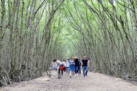 Rừng ngập mặn Cần Giờ ở TP.HCM được UNESCO công nhận là Khu dự trữ sinh quyển thế giới đầu tiên ở Việt Nam - Ảnh: T.T.D. Rừng ngập mặn Cần Giờ ở TP.HCM được UNESCO công nhận là Khu dự trữ sinh quyển thế giới đầu tiên ở Việt Nam - Ảnh: T.T.D.