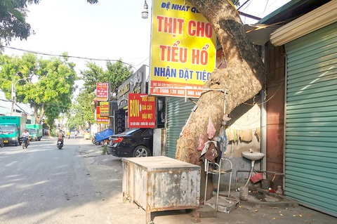 Nhiều quán thịt chó ở phố Hữu Hưng giờ ít khách nên mở hàng trễ - Ảnh: VŨ TUẤN Nhiều quán thịt chó ở phố Hữu Hưng giờ ít khách nên mở hàng trễ - Ảnh: VŨ TUẤN