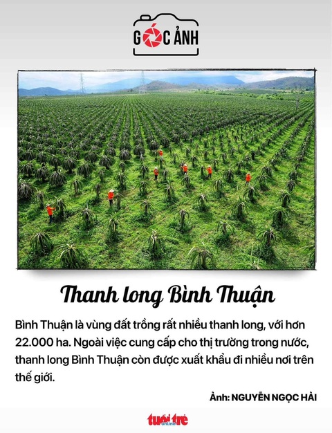 Tin tức sáng 27-8: Từ 1-7-2024 sách giáo khoa thuốc nhóm hàng nhà nước định giá - Ảnh 4. Tin tức sáng 27-8: Từ 1-7-2024 sách giáo khoa thuốc nhóm hàng nhà nước định giá - Ảnh 4.