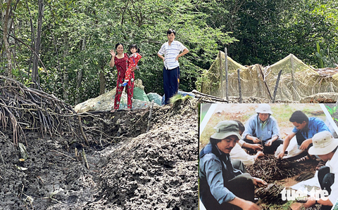 Gia đình bà Nguyễn Thị Lắng ba đời giữ 150ha rừng, chăm sóc lá phổi của thành phố xanh tươi Gia đình bà Nguyễn Thị Lắng ba đời giữ 150ha rừng, chăm sóc lá phổi của thành phố xanh tươi