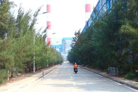 Nhà máy Nhiệt điện Vĩnh Tân 4 nỗ lực bảo vệ môi trường - Ảnh 2. Nhà máy Nhiệt điện Vĩnh Tân 4 được bao phủ bởi nhiều cây xanh