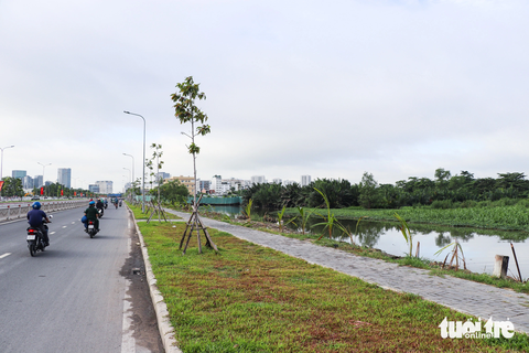 Dân quận 7 vui sướng vì nhiều kênh rạch đang được làm sạch - Ảnh 1. Một đoạn kênh rạch ven đường Nguyễn Văn Linh được dọn sạch sẽ và trồng cây xanh - Ảnh: CHÂU TUẤN