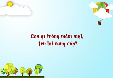 Câu đố hack não: Con la là con của con gì? - Ảnh 4. Câu đố hack não: Con la là con của con gì? - Ảnh 4.